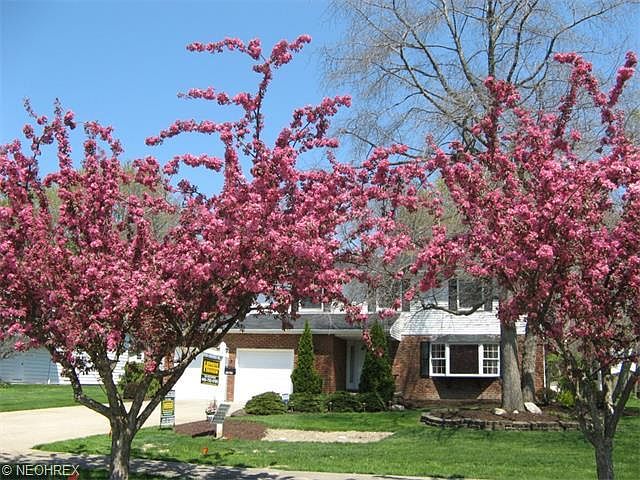 1st image of 26792 Brahms Dr