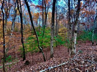 296 Valley View Rd, Ellijay, GA 30536