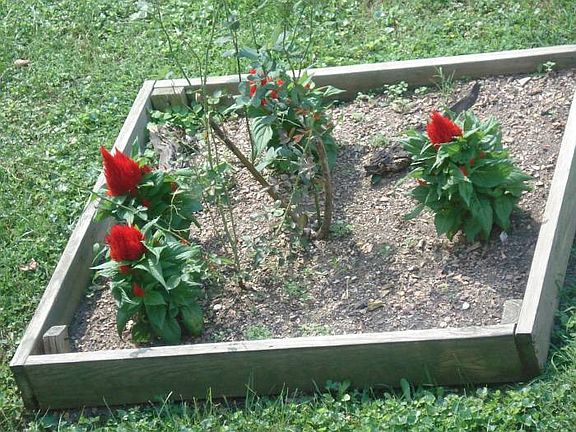 landscaping