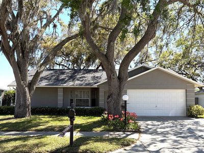 8648 GOLD PINE DRIVE, Port Richey, FL, 34668