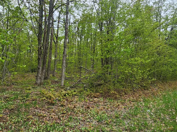 Valleyridge Cir, Alba, MI 49611
