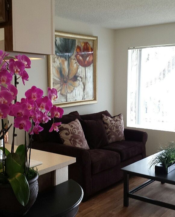 Living Room Picture