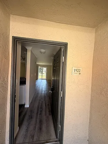 7405 Charmant Dr Photo 1