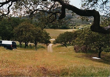 Well + city water at street
