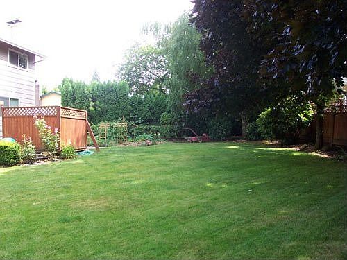 large back yard