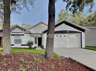 4011 Fontana Pl, Valrico, FL 33596