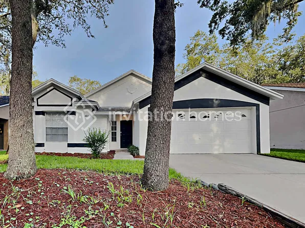 4011 Fontana Pl, Valrico, FL 33596