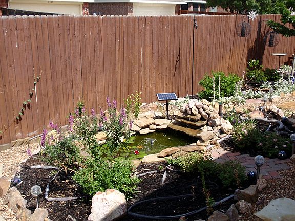Landscaped back yard