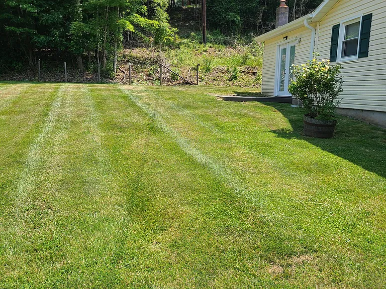 Front yard
