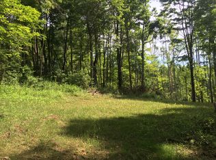202 Riviera Dr, Mount Nebo, WV 26679