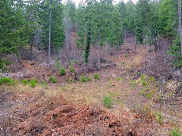Nna Winchester Ln, Saint Maries, ID 83861