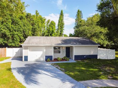 14003 Ridgedale Way, Tampa, FL, 33625