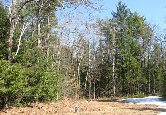 3rd image of 23 Deerwood Dr