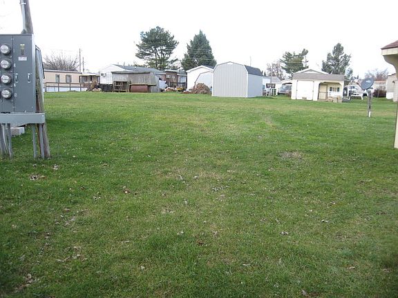 Open space back yard