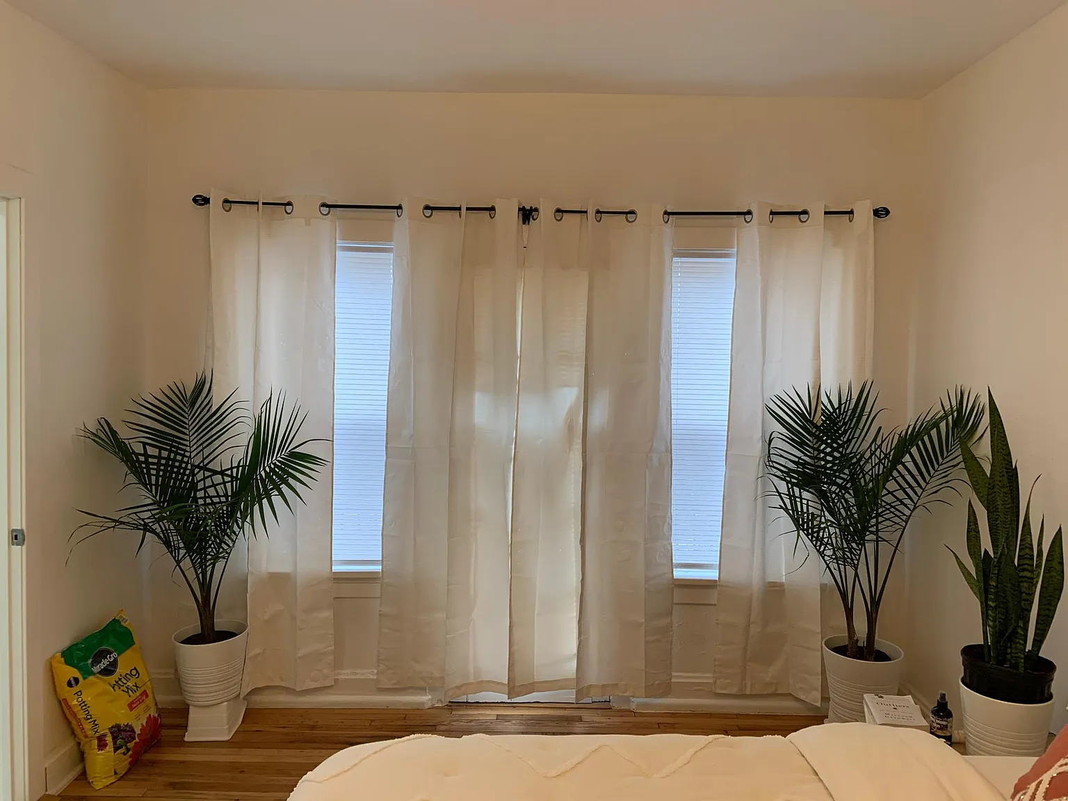 Studio, 450 sqft, $950 — Photo 2