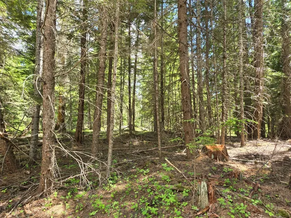 LOT Four Elk Heights Ln #A, Heron, MT 59844