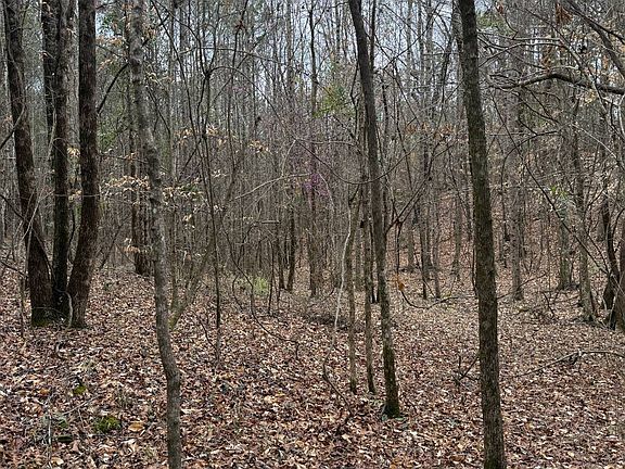 4th image of 0 Highway 15