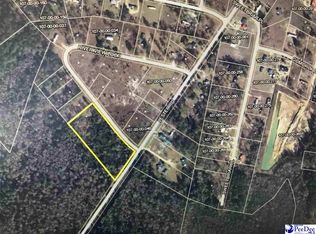 Lester Rd, Dillon, SC 29536