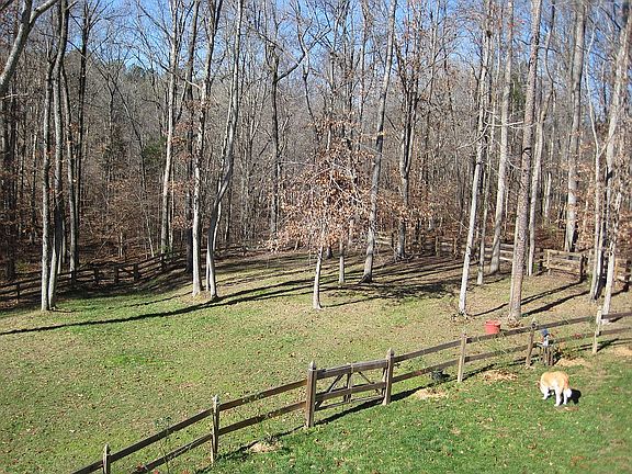 Back yard/pasture