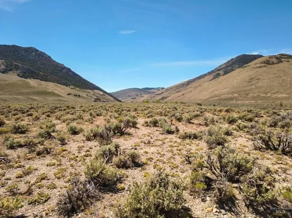 Dry Creek Road Donkey Hls, Mackay, ID 83251