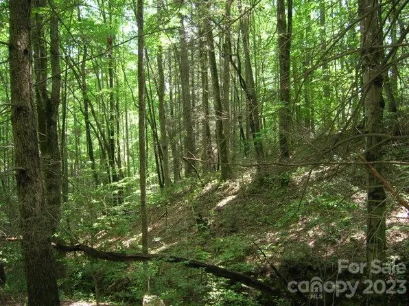 19 Sunkota Trl, Bryson City, NC 28713