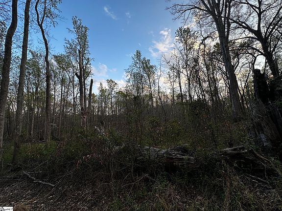 5th image of 101 Sugarmill Ln