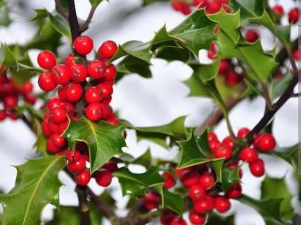 714 Eleventh Avenue image 1 of 2