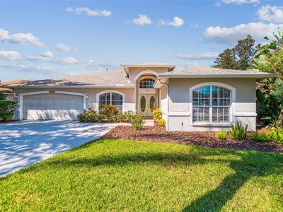 19417 Morden Blush Dr, Lutz, FL, 33558