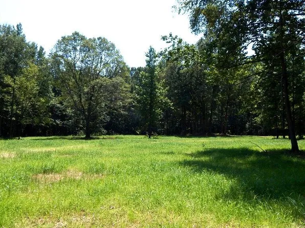 575 Kimes Cv, Sardis, MS 38666