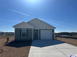 197 Country Grove Way Cameron #B-LOT 350, Galivants Ferry, SC 29544