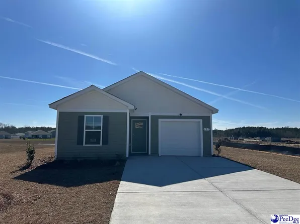 197 Country Grove Way Cameron #B-lot 350, Galivants Ferry, SC 29544