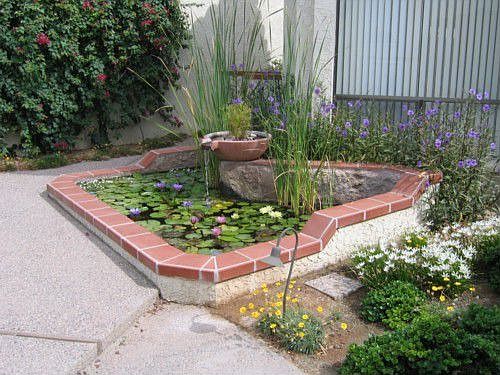 Pond in Courtyard