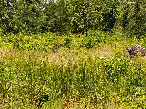 5th image of 0 County Road 4040