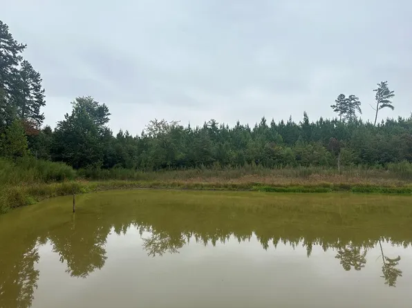 1918 Plantersville Rd, Drakes Branch, VA 23937