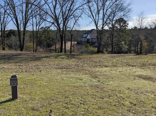 53 Brighton Pointe Ln, Heber Springs, AR 72543