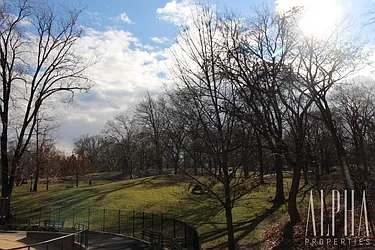 Rented by Alpha Properties NYC I LLC