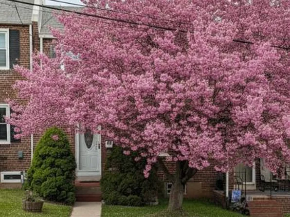 1407 Beech St, Wilmington, DE 19805