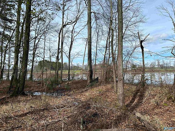3rd image of LOT 13 County Road 914