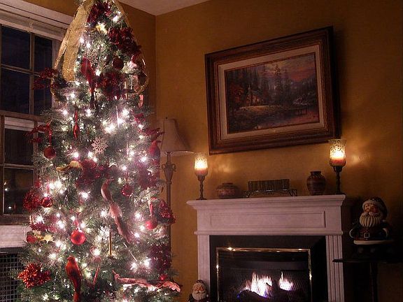 Gas fireplace