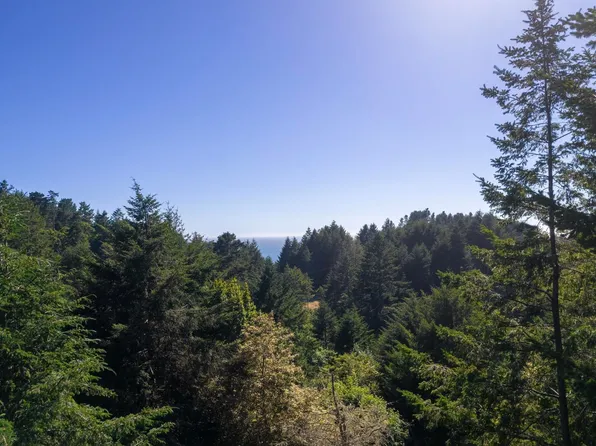 271 Spring Rd, Whitethorn, CA 95589