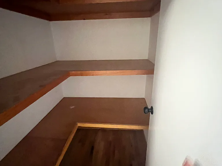 Hall Storage Closet