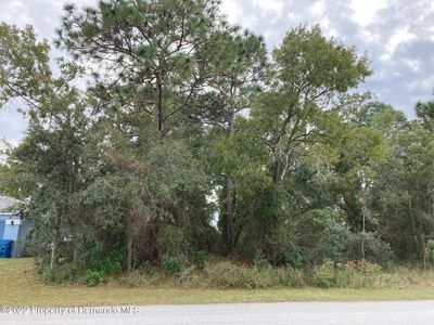 0 Lansfield St, Spring Hill, FL, 34608