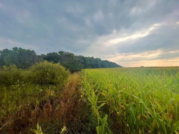 100th Ave, Saint Joseph, MN 56374