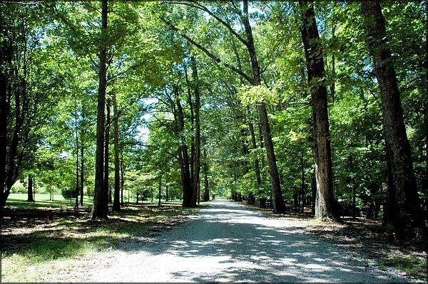 2nd image of 6636B Cairo Bend Rd