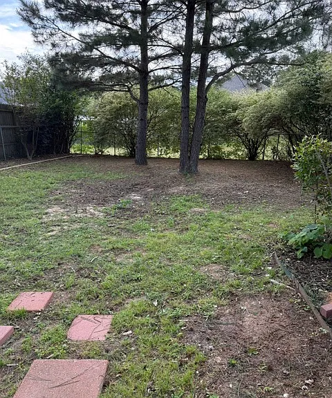3203 Acacia Dr — Photo 20