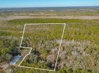 2393 Franklin Street Ext SE, Darien, GA 31305