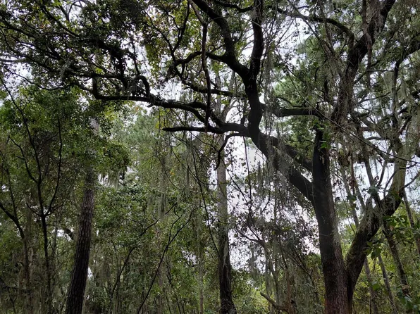 21 Fort Fremont Ct N, Saint Helena Island, SC 29920