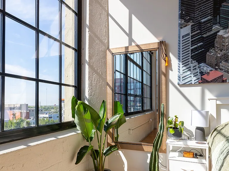 Suitable Room for Plants
