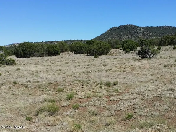 84 County Road 3035, Concho, AZ 85924