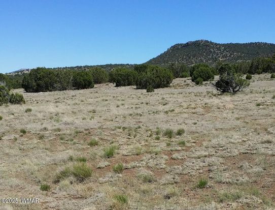 84 County Road 3035, Concho, AZ 85924